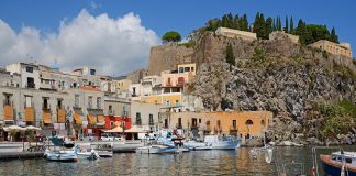 Il suo doberman, l’ha aggredita per due volte in meno di 48 ore