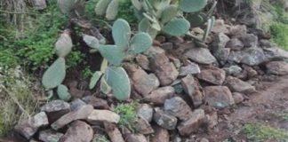 Mario Biancuzzo, esponente del Sesto Quartiere di Messina chiede il rifacimento del muro di contrada Piccione a Calamona