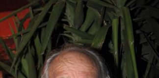 La scomparsa, di Zeppe Favano