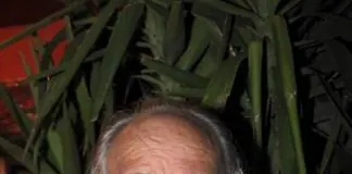 La scomparsa, di Zeppe Favano