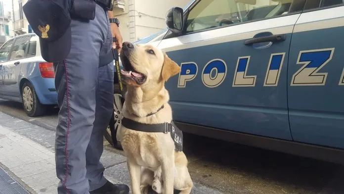 SQUADRA CINOFILA POLIZIA