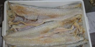 La Capitaneria di Porto, ha sequestrato 23 Kg di pescestocco a Santa Lucia del Mela