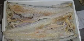 La Capitaneria di Porto, ha sequestrato 23 Kg di pescestocco a Santa Lucia del Mela