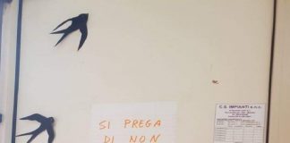 Alla Scuola, Lombardo-Radice di Messina: porte senza maniglie, un solo bagno e telefoni non funzionanti