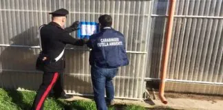 A Santa Lucia del Mela, è stata perquisita e sequestrata una Azienda zootecnica
