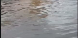 Lo segnalano, il consigliere comunale del M5S Francesco Cipolla e la consigliera del VI° Quartiere Francesca Mancuso: “In via Consolare Pompea ad ogni acquazzone si formano vere e proprie piscine naturali”