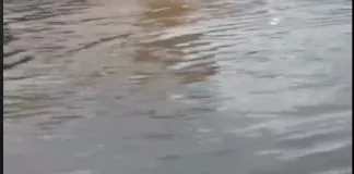 Lo segnalano, il consigliere comunale del M5S Francesco Cipolla e la consigliera del VI° Quartiere Francesca Mancuso: “In via Consolare Pompea ad ogni acquazzone si formano vere e proprie piscine naturali”