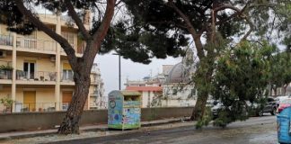 Oggi pomeriggio, intorno alle 16, un grosso ramo è caduto da un albero