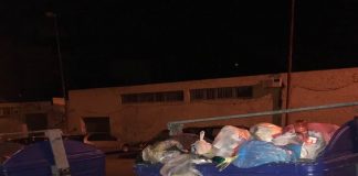 L’assessora all’Ambiente del Comune di Messina, Dafne Musolino si pone una domanda