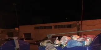 L’assessora all’Ambiente del Comune di Messina, Dafne Musolino si pone una domanda
