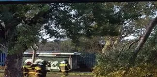 I danni causati dal maltempo, iniziato ieri sera a Messina