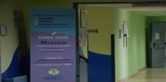L’appello della deputata forzista Matilde Siracusano alla ministra della Salute Giulia Grillo: «#NessunoTocchiNemo»
