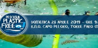 #pescasub_plastic_free, una iniziativa simbolica che oggi è prevista a Messina