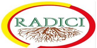 Lo riferiscono gli aderenti all’Associazione “RADICI” di Messina: «Possibile che il sindaco De Luca, non si renda conto che da quando lui si è totalmente immerso nella campagna elettorale per le Europee la Città ne stia decisamente risentendo?»