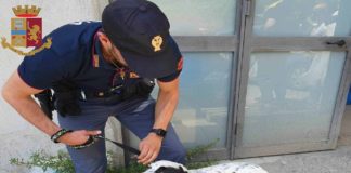 Ha lasciato il cane in auto, sotto il sole, a Messina
