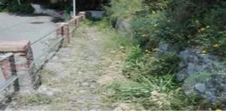 Richiesta la scerbatura, per la scalinata della Madonnina a Santo Saba