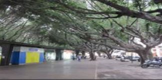 Lino Santoro Amante, su piazza Cairoli: “Favorevoli alle Isole pedonali”