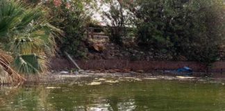 Inquinamento dei Laghi di Ganzirri, l’assessore all’Ambiente, avvocato Dafne Musolino riferisce: “Il Comune interverrà”