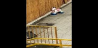 Franco Laimo (V^ Circoscrizione di Messina): “Da oltre un mese si registra la presenza di ratti e zecche negli spazi esterni dell’ex istituto scolastico Ugo Foscolo di Via Palermo, ove risiedono 12 famiglie (una donna in stato interessante) con i propri bambini”