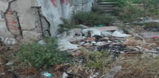 A parlare in una nota, è il consigliere della VI Circoscrizione di Messina, Mario Biancuzzo: “Faccio presente che scaricatori abusivi hanno sfregiato le bellezze della pineta di Calamona lungo la strada statale 113/dir”