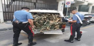Ieri sera, i carabinieri del Nucleo Radiomobile di Messina, hanno arrestato, in flagranza di reato, F.F. 44enne pregiudicato messinese ed il figlio F.G. 22enne
