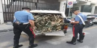 Ieri sera, i carabinieri del Nucleo Radiomobile di Messina, hanno arrestato, in flagranza di reato, F.F. 44enne pregiudicato messinese ed il figlio F.G. 22enne