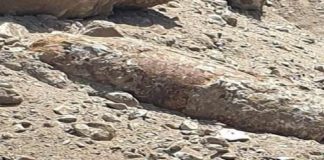 Oggi in tarda mattinata, nella zona dell’area dell’ex Mercato Zaera, nei pressi del viale Europa a Messina, è stata rinvenuta una bomba