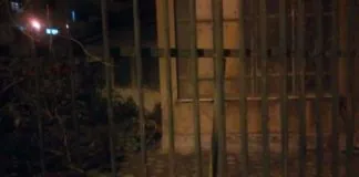 “Vandali in azione all’ex asilo di via Brasile a Messina”, la denuncia di Franco Laimo