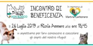 Il 26 luglio, i responsabili del Rifugio Don Blasco di Messina, invitano tutti al Ricrio Ammare