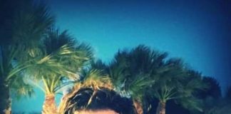 Ad evidenziarlo è il consigliere della V Circoscrizione di Messina, Franco Laimo: “Una residente della via Paraguay racconta che terrorizzata non esce più di casa perché si è ritrovata il proprio figlio ed il proprio cane coperti di zecche”