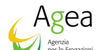 Nuovo colpo alle truffe all’Agea, l’Agenzia per le erogazioni in agricoltura: notificati, tra le province di Enna, Messina e Trapani, 31 avvisi di conclusione indagine
