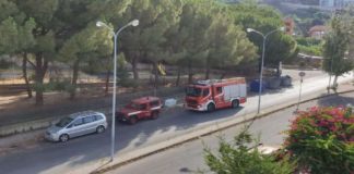 Nel pomeriggio di oggi, un grosso ramo è crollato al suolo all’interno della villetta comunale di San Licandro