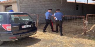Controlli dei carabinieri di Santa Stefano di Camastra, nell’ambito della Campagna Nazionale di prevenzione e repressione dei reati nel settore agricolo, agroalimentare e forestale