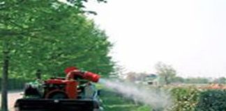 Nel territorio della Prima circoscrizione di Messina: venerdì 19, si terranno interventi di disinfestazione