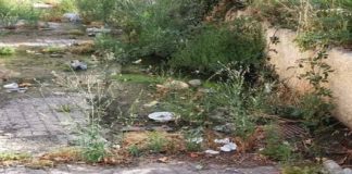 “Mancata pulizia, scerbatura e bonifica nel Villaggio Unrra”, questo stato di cose lo sottolinea Paolo Scivolone (M5S)