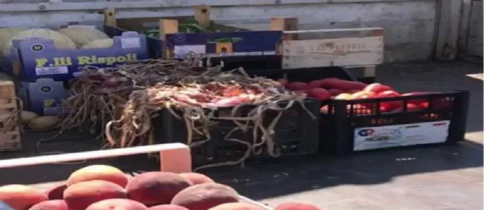 sequestro zona nord