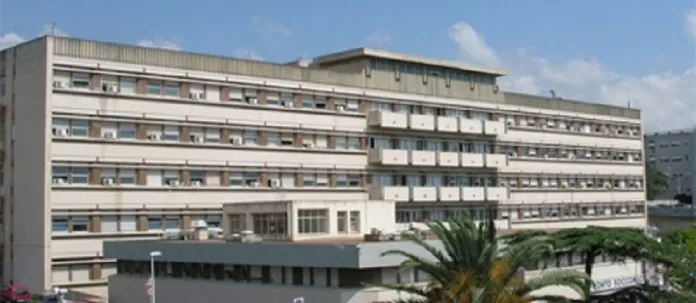 universitario