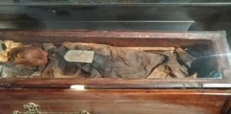 Il Convento dei Cappuccini di Palermo, situato nel quartiere Cuba e annesso alla chiesa di Santa Maria della Pace, è conosciuto in tutto il mondo per la presenza nei suoi sotterranei di un vasto cimitero, che attira la curiosità di numerosi turisti che ne affollano l’ingresso