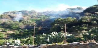 Nel primo pomeriggio di oggi intorno 14.30, si è sviluppato un vasto incendio nelle campagne di Santo Stefano Briga