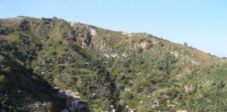 “Sono iniziati sabato 3 agosto i festeggiamenti organizzati dalla comunità di Mili S. Marco per il proprio santo patrono, S. Marco Evangelista”