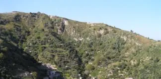 “Sono iniziati sabato 3 agosto i festeggiamenti organizzati dalla comunità di Mili S. Marco per il proprio santo patrono, S. Marco Evangelista”