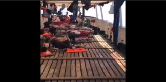 Open Arms verso Lampedusa, Matteo Salvini fa ricorso al Consiglio di Stato