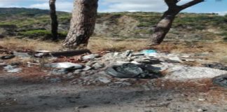 A scriverlo è il consigliere della 6^ Circoscrizione di Messina, Mario Biancuzzo