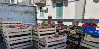 “Sequestrati circa 1.500 kg di frutta”, è questo ciò che ha comunicato oggi, il primo cittadino di Messina Cateno De Luca