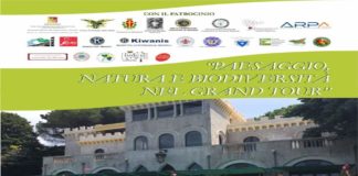“Paesaggio, Natura e Biodiversità nel Grand Tour”: giovedì 19, si terrà una conferenza stampa a Palazzo Zanca