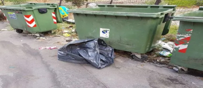 asinello