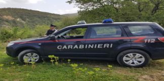 Nel primo pomeriggio di ieri, 24 ottobre 2019, i Carabinieri della Compagnia di Messina Sud hanno rintracciato un pensionato 71enne che risultava disperso da alcune ore nell’area boschiva alle pendici del “Monte Scuderi”