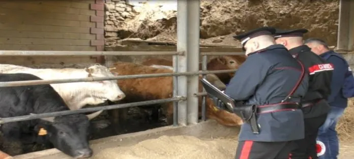 carabinieri capizzi