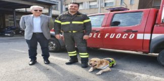 Si chiama Grisú ha 2 anni ed è un nuovo vigile del Fuoco a “quattro zampe”, di cui potrà disporre il Comando Provinciale di Messina