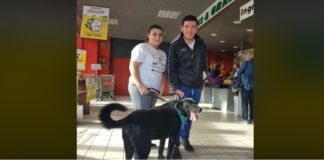 “Occorre poco… vali tanto”